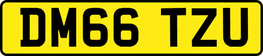 DM66TZU