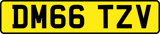 DM66TZV