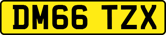 DM66TZX