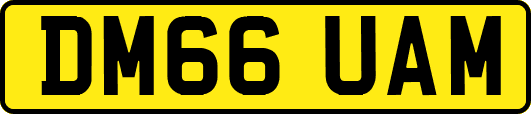 DM66UAM