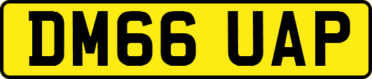 DM66UAP