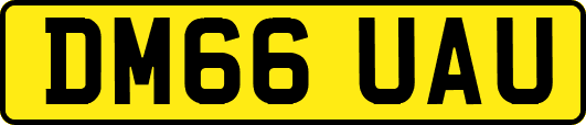 DM66UAU