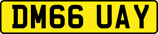 DM66UAY