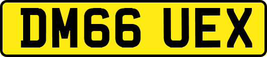 DM66UEX