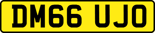 DM66UJO