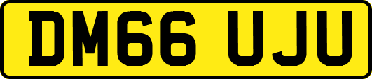 DM66UJU