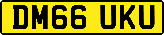 DM66UKU