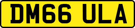 DM66ULA