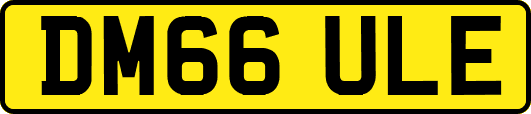 DM66ULE