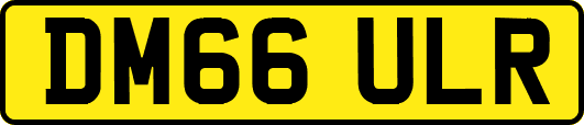 DM66ULR