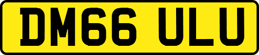 DM66ULU