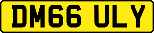DM66ULY
