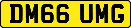 DM66UMG
