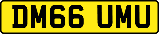 DM66UMU