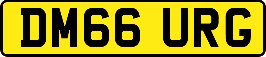 DM66URG
