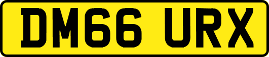 DM66URX