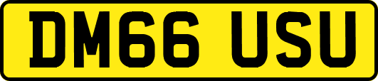 DM66USU