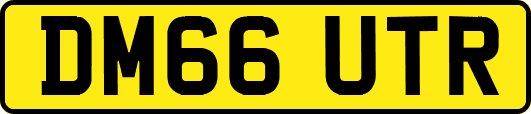 DM66UTR