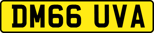 DM66UVA