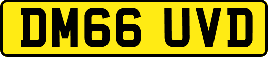 DM66UVD