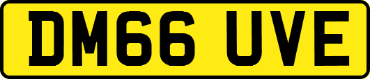 DM66UVE