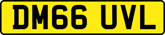 DM66UVL