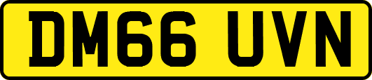 DM66UVN