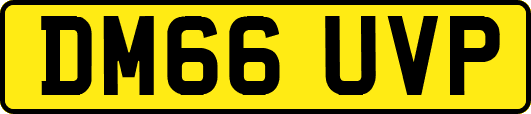 DM66UVP