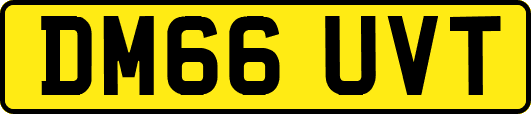 DM66UVT