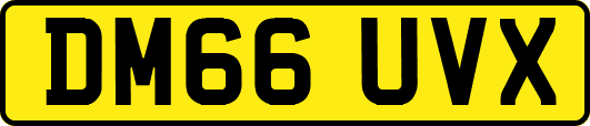 DM66UVX