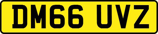 DM66UVZ