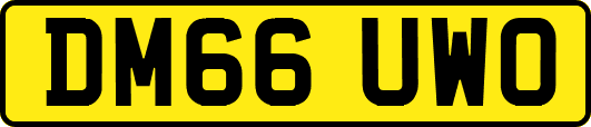 DM66UWO