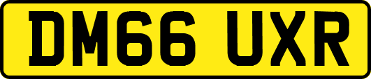 DM66UXR