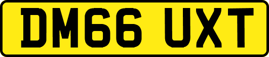 DM66UXT