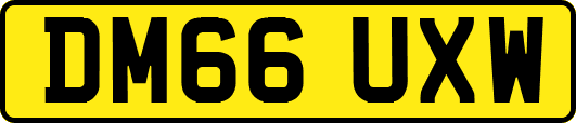 DM66UXW