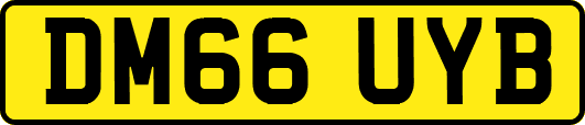 DM66UYB