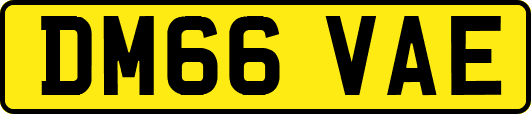 DM66VAE