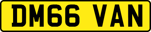 DM66VAN