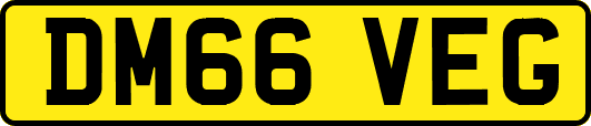 DM66VEG