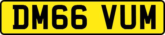 DM66VUM