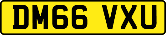 DM66VXU