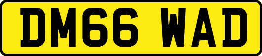 DM66WAD