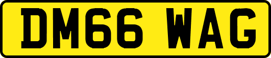 DM66WAG