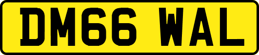 DM66WAL