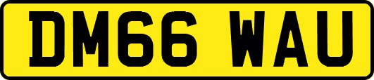 DM66WAU