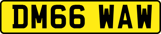 DM66WAW