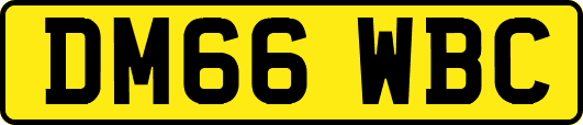DM66WBC