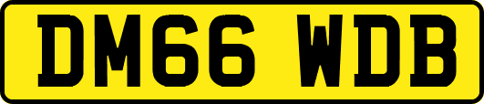 DM66WDB