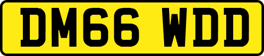 DM66WDD