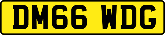 DM66WDG